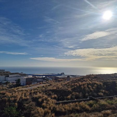 Atico Micaela. Terraza Y Vistas Lägenhet Santa Cruz de Tenerife Exteriör bild